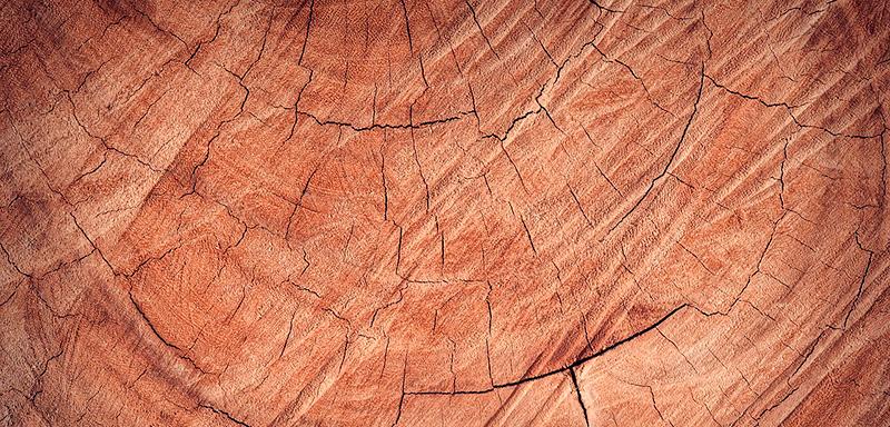 madera madera 1 | Timbals Artesans